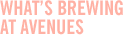What's Brewing at Avenues